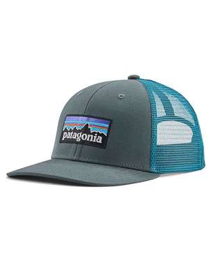 Patagonia P-6 Logo Trucker Hat in Nouveau Green New From Patagonia at Mad River Outfitters