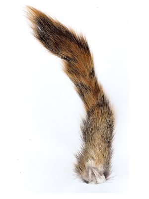 pine squirrel tail Wapsi Inc