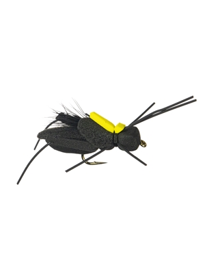 Project Cricket Fly Terrestrials - General