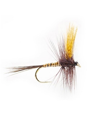 quill gordon dry fly Flies