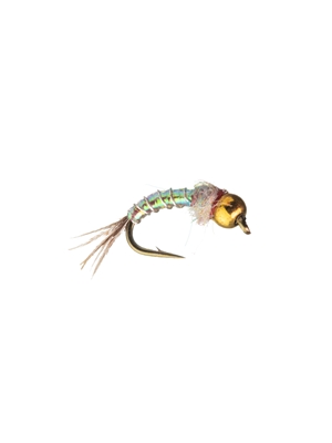 bead head Rainbow Warrior nymph Flies