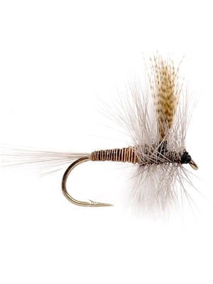 red quill dry fly Hatches 1 - Early Season - Hennys, Sulphurs, BWO
