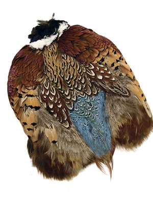 ringneck pheasant skin Wapsi Inc