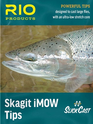 rio skagit imow tips spey switch fly fishing