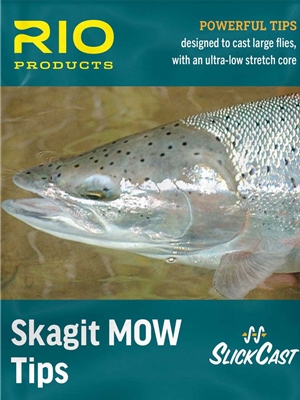 rio skagit mow tips light switch spey steelhead fly lines