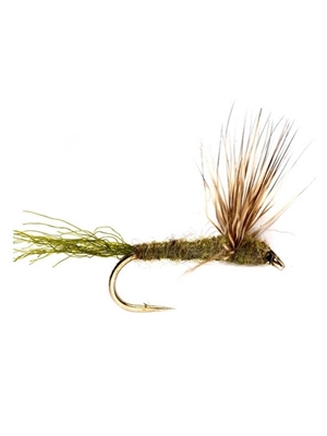 olive sparkle dun Standard Dry Flies - Attractors and Spinners