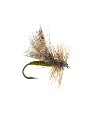 spent partridge caddis olive caddisflies fly fishing