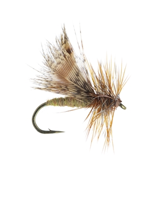 spent partridge caddis tan