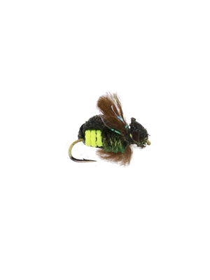 Steeve's Firefly Flies