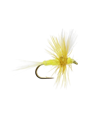 sulphur thorax dry fly Flies