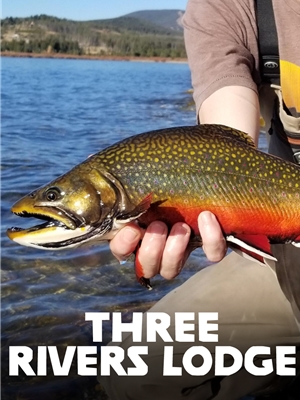 Three Rivers Lodge Fly Fishing Trips