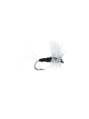 trico thorax dun dry fly Flies