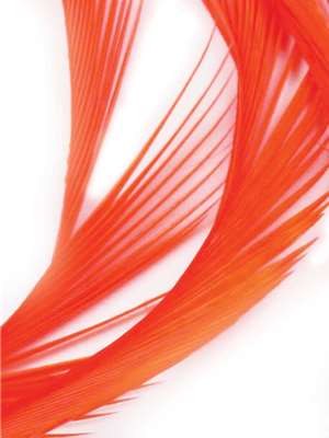 UV2 Goose Biots at Mad River Outfitters Specialty  and  Misc.