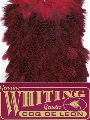 Whiting Farms Coq de Leon Hen Saddle speckled red Feathers and Marabou