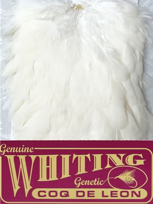 Whiting Farms Coq de Leon Hen Saddle white Hackle and Dry Flies