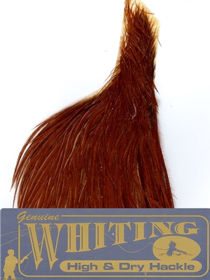 Whiting Farms High & Dry Hackle 1/2 Cape - Grizzly Dyed Coachman Brown - North 40 Outfitters