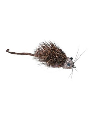 whit's mouserat fly Mouse Flies