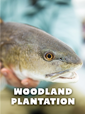 Woodland Plantation Louisiana Redfish Fly Fishing Trip with Mad River Outfitters Generic Mfg