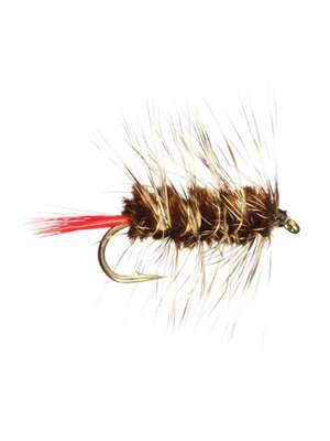 brown wooly worm Carp Flies at Mad River Outfitters