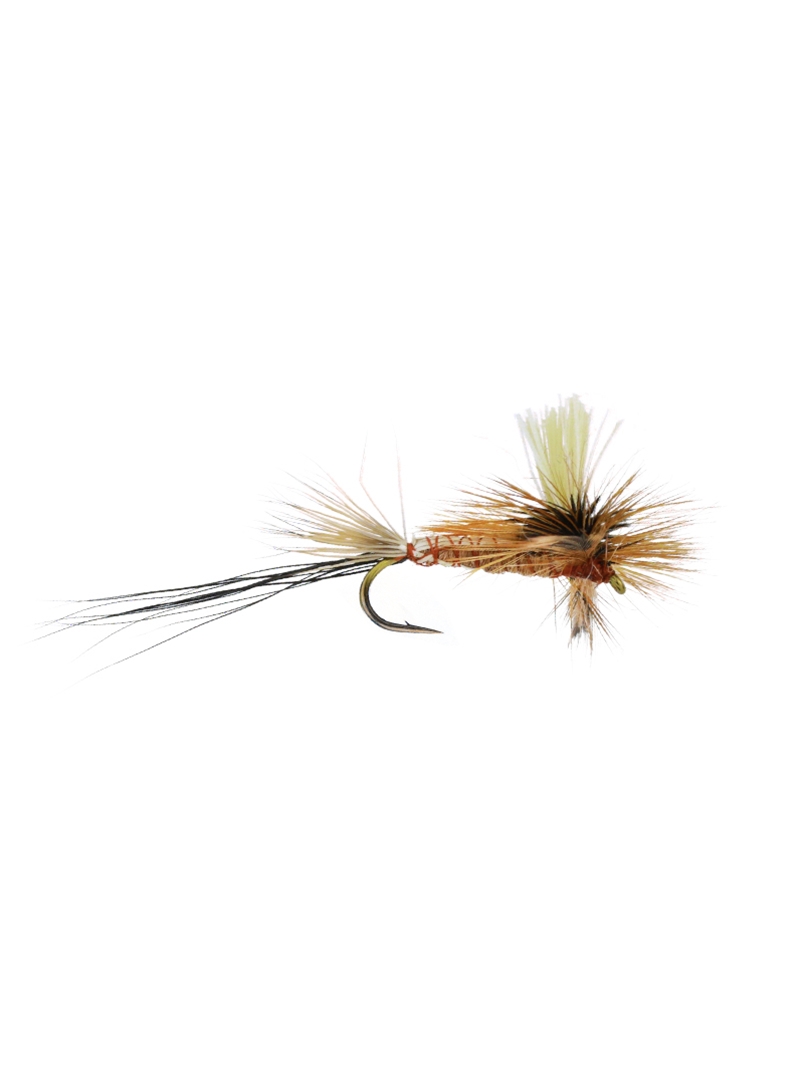 Glo Hex Spinner  Mad River Outfitters