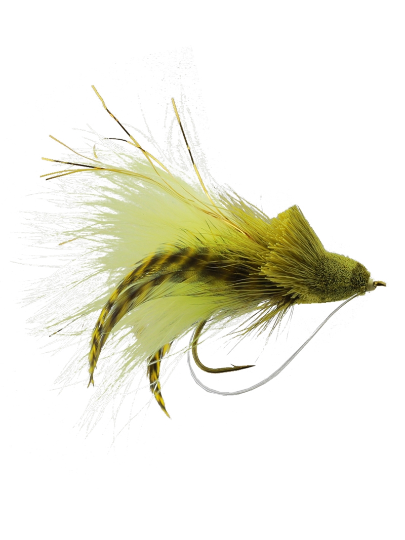 Dahlberg Diver Frog Fly for Sale