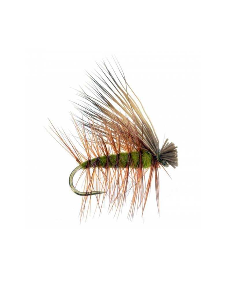 Salmon and More Hand Tied Feeder Creek Elk Hair Caddis Olive One Dozen Fly Fishing Attractor/Prospecting Fly Pattern for Trout Available in Different Hook Sizes 