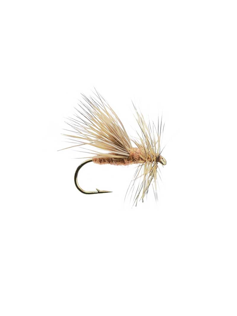 Kelly Galloup's Goober Caddis- Tan