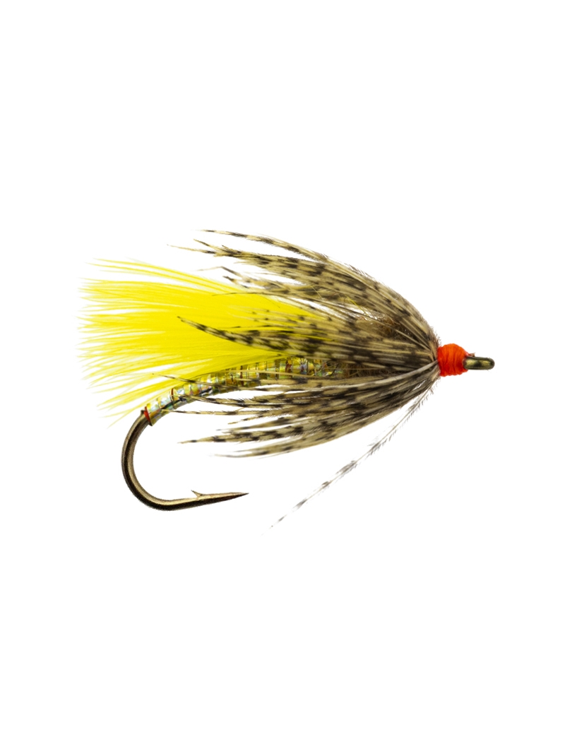 Holographic Wet Fly