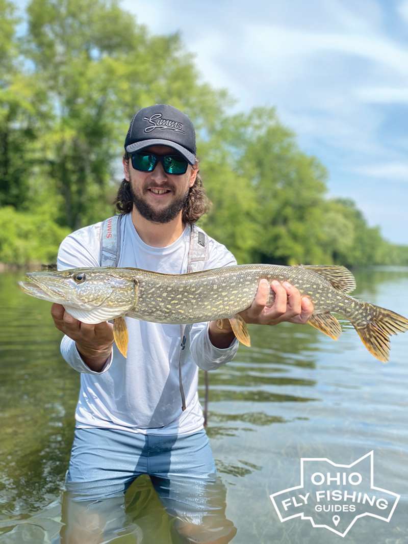 Mad River Outfitters is proud to offer excellent guided Northern Pike Trips all throughout Ohio!