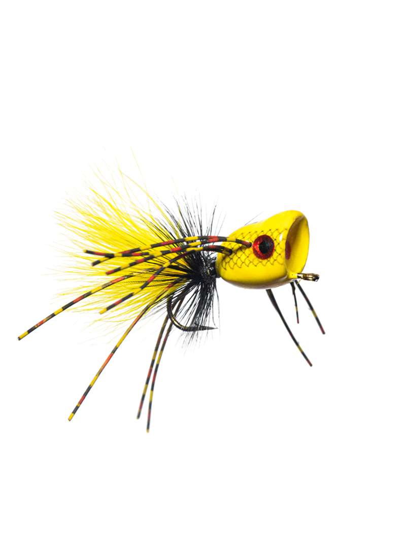 MFC Bombshell Popper  Mad River Outfitters