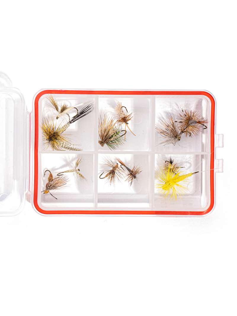Waterproof Fly Box with an Assortment of Dry Flies for Trout Fly Fishing