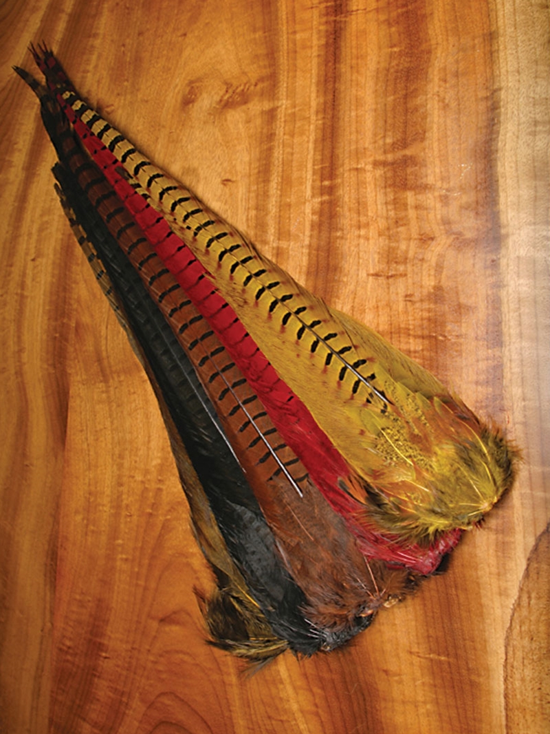 thumbnail image 2 of Hareline Ringneck Pheasant Tail Clump - Natural Fly Tying Feathers 2 of 6