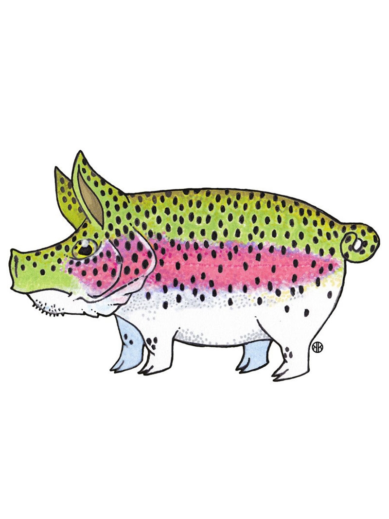 Nate Karnes Pig Rainbow Trout Decal