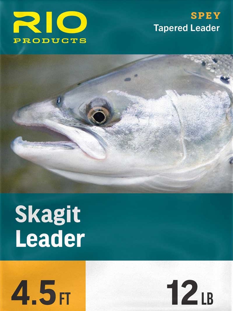 RIO Skagit Leaders