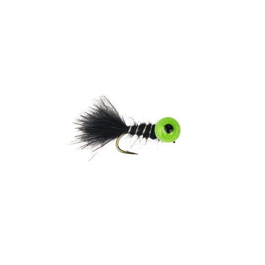 Big Eyed Panfish Bug- black