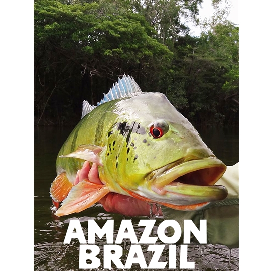 Fly Fishing for Peacock Bass with River 