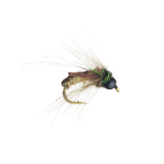 caddistrophic-pupa-cream-fly-