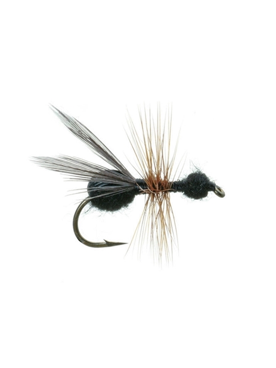 cadence cc4 spinning combo CC4 Spinning Combo  Cadence Fishing: Fishing Reels, Rods, and Combos