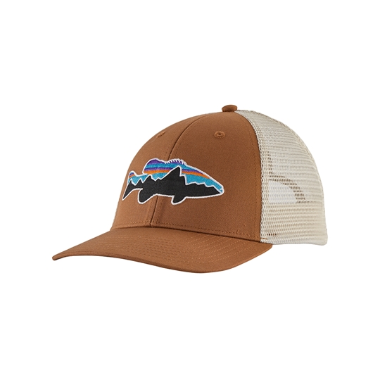 patagonia lopro trucker hat fitz roy