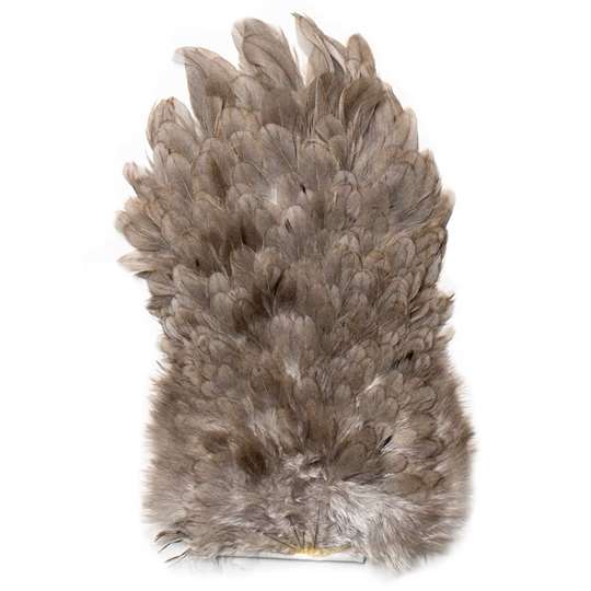 Yes Rasta　Perry Henzell　ペリー・ヘンゼル LL BROTHERS - PARADISE - Amazon.com Music