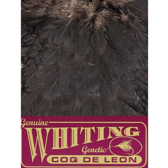 WHITING FARMS COQ DE LEON ブラック whiting-farms-coq-de-leon-hen-