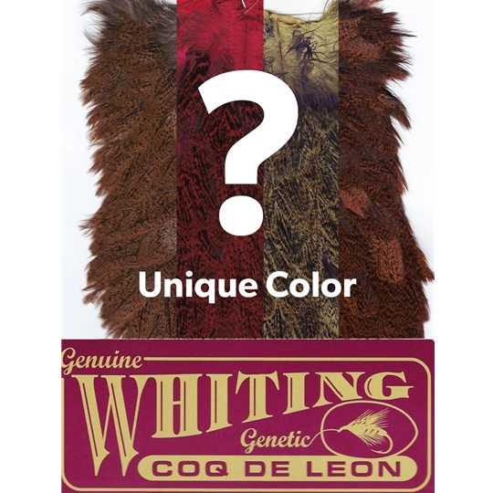whiting-farms-coq-de-leon-hen-