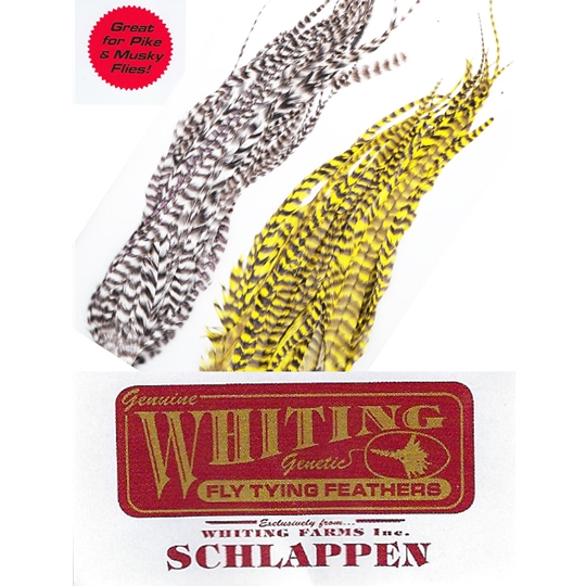 Fly Tying-Whiting Schlappen Bundle 10-14" White dyed Yellow 