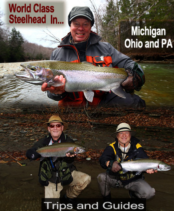 world class steelhead in michigan, ohio, and pa - trips and guides