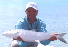 big browns