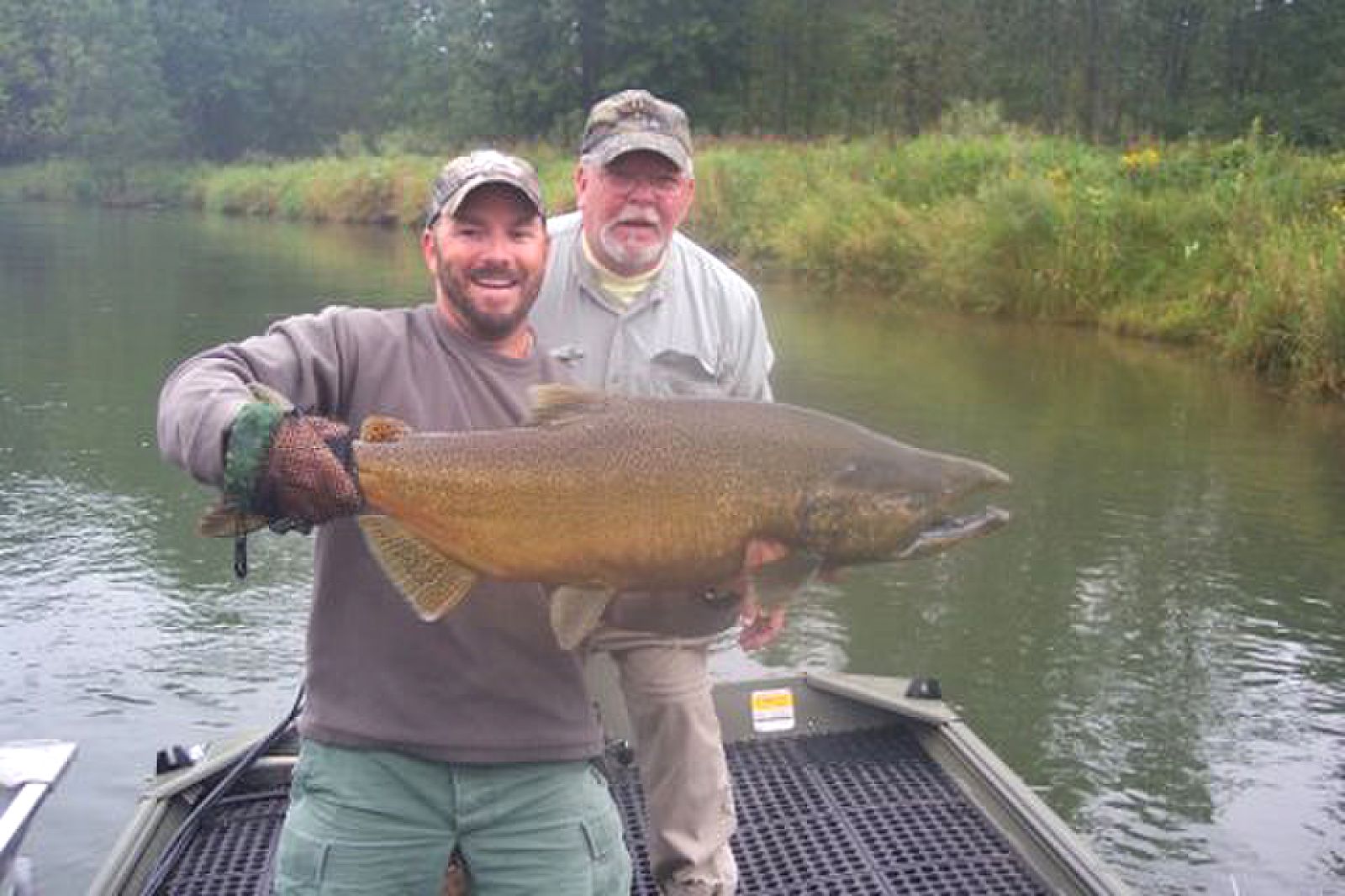 michigan salmon trips