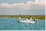 Fly Fishing for Bonefish, Bonefish Trips, Bonefish, Andros Island Bonefish Club, Andros Island Bonefish