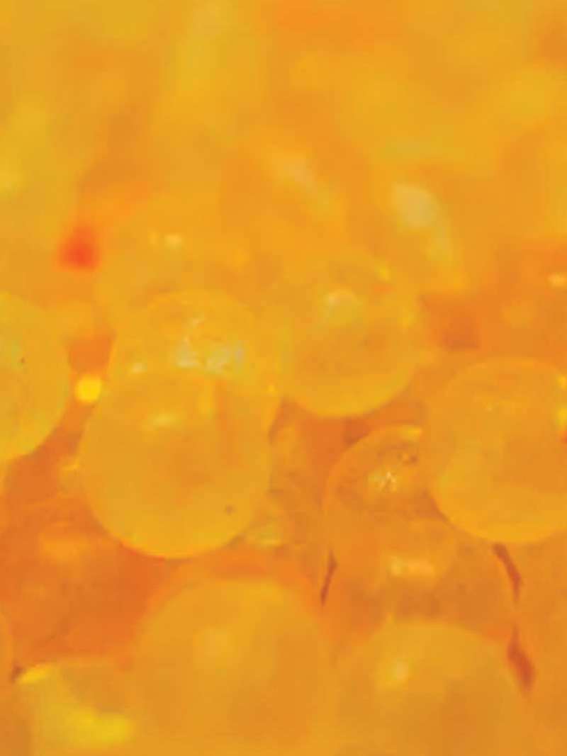 Great Lakes Steelhead Co. 10mm Beads at Mad River Outfitters