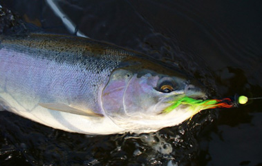 Tube Flies, Tube Fly Tying